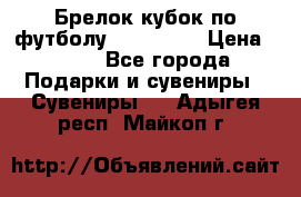 Брелок кубок по футболу Fifa 2018 › Цена ­ 399 - Все города Подарки и сувениры » Сувениры   . Адыгея респ.,Майкоп г.